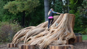 Surrey Nature Center