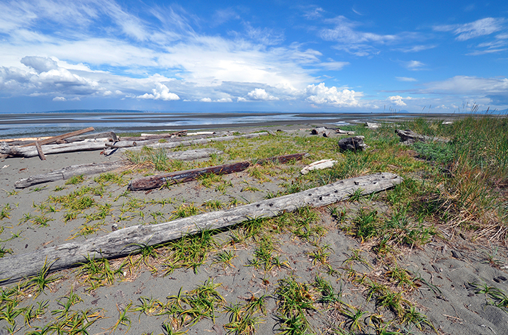 Biking the Boundary Bay Trail - Kid 