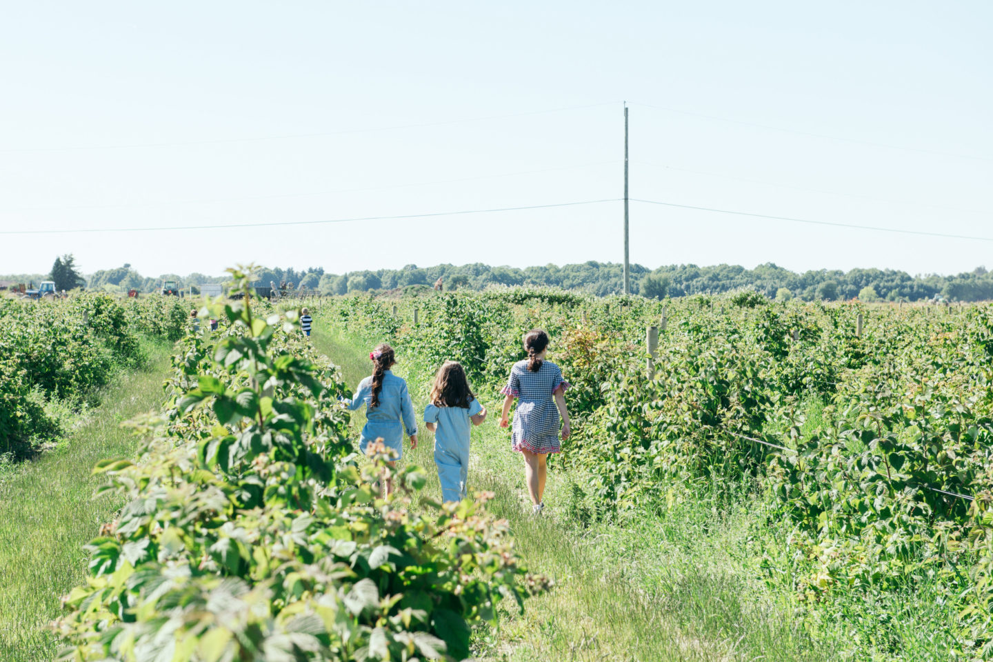 Best of Delta Farms and Markets Kid Approved